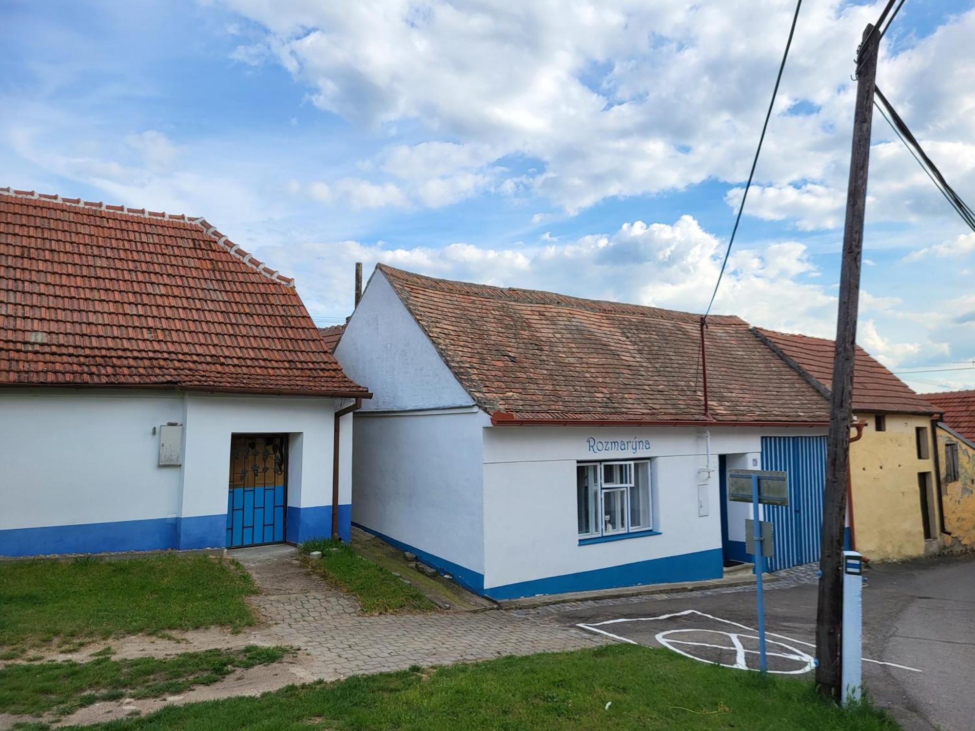 Rozmaryna Vrbice